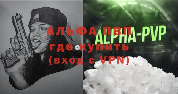мдпв Рославль