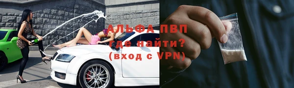 сатива Белокуриха