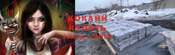 apvp Ростов