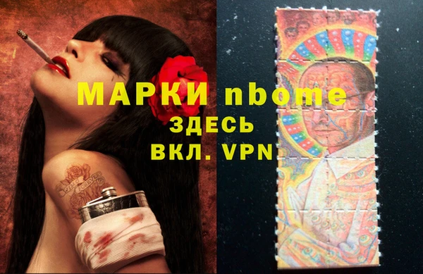 мдпв Рославль